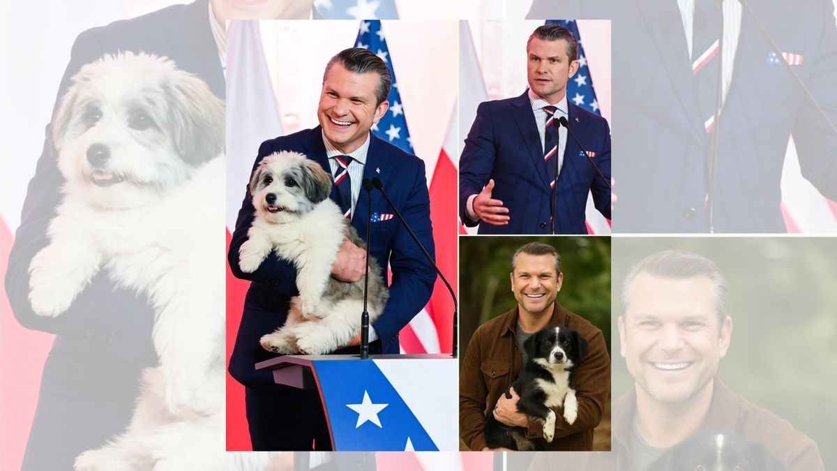 Did Pete Hegseth invest $5M in 'Dogtopia' healing sanctuary?