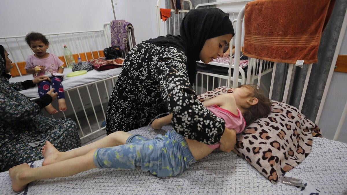 At anerkende Palæstina som stat 'vil ikke rokke en tøddel' ved krigen, siger Løkke