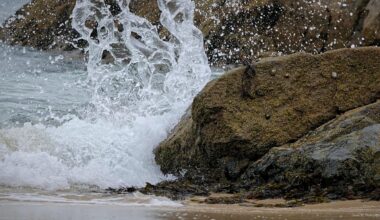 Porthgwidden Beach. St Ives, Cornwall.