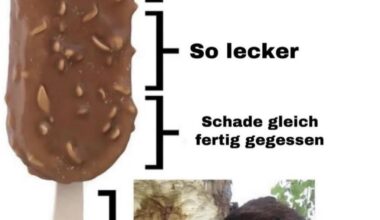 Sehr schmackhaft