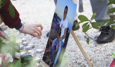 Seine-Saint-Denis. Un arbre planté en hommage à Ilan Halimi a été tronçonné pendant la nuit