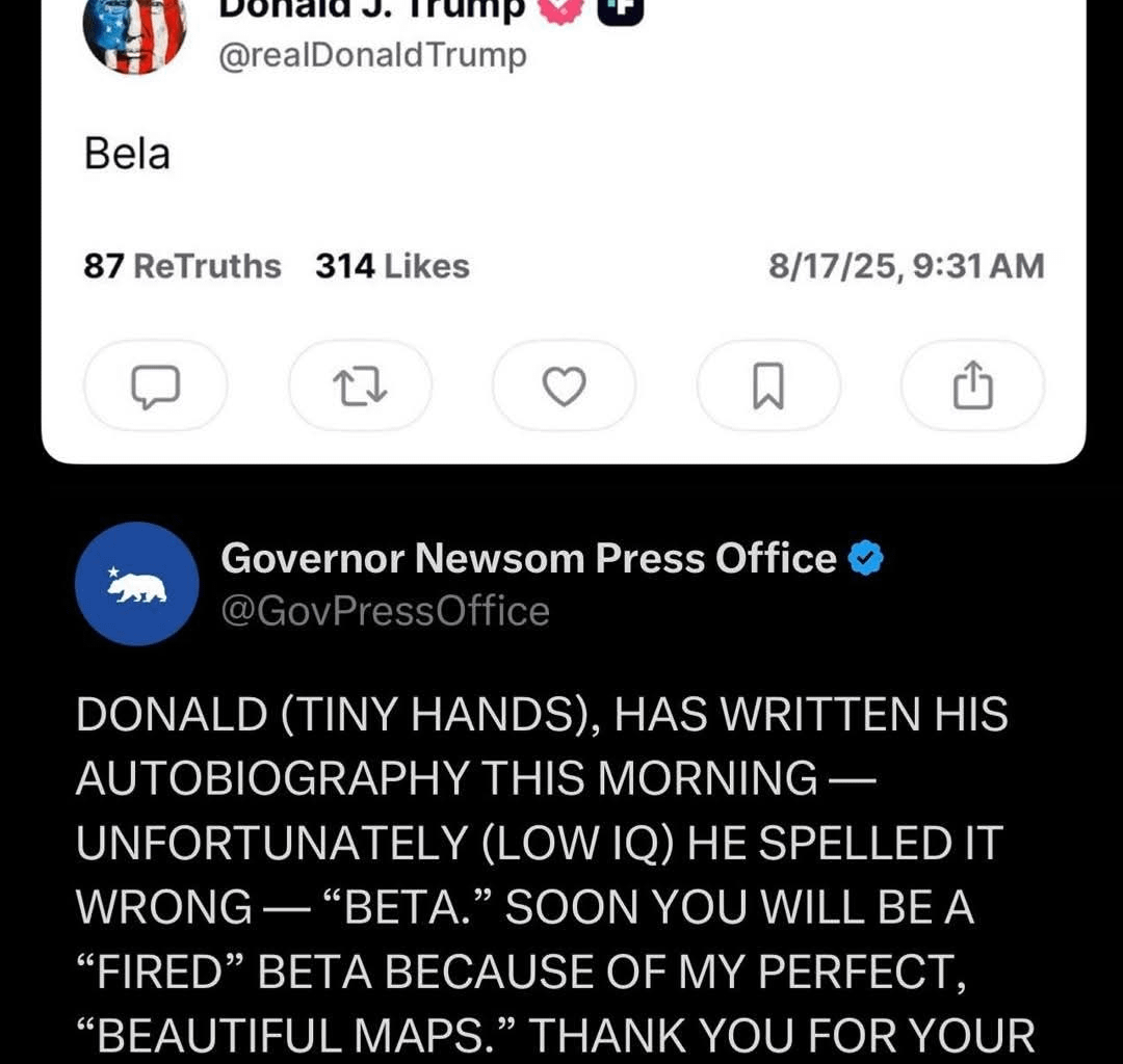 Donald (Tiny Hands) aka Bela