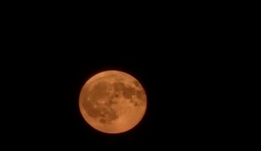 Lunca