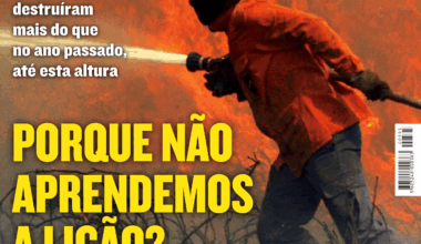 Revista Visão de 29 de julho de 2004 e a pergunta para a qual não parece haver resposta