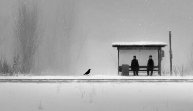 Quiet Affection: A Love Letter from me to Finland