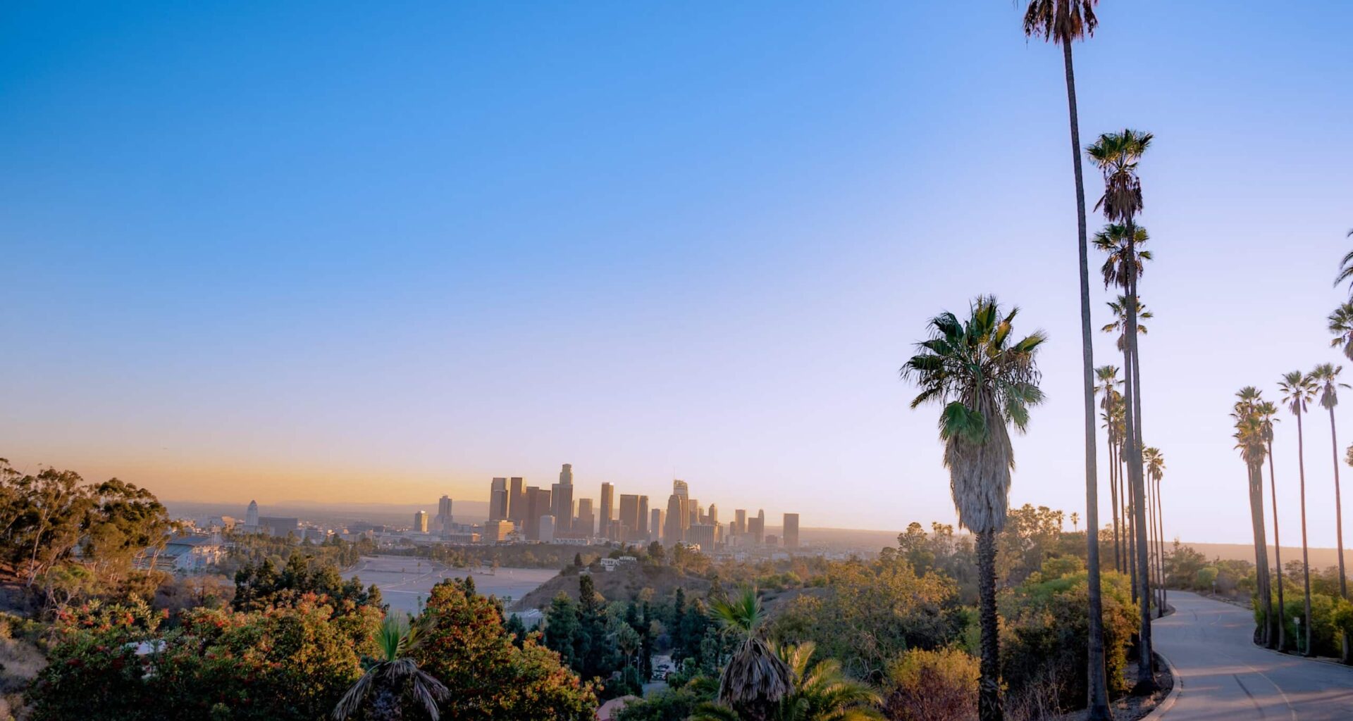 California 2026 Poll: Porter, Hilton Lead in Race for Governor; Plurality Undecided