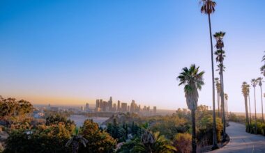 California 2026 Poll: Porter, Hilton Lead in Race for Governor; Plurality Undecided