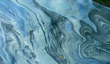 Protecting the environment and human health from persistent, mobile, and toxic substances