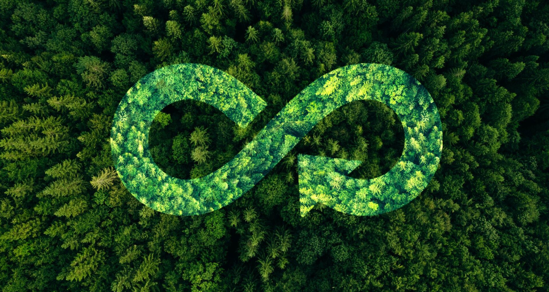Sharing,reusing,repairing,renovating and recycling existing materials and products as much possible.Circular economy concept. Energy consumption and CO2 emissions are increasing.