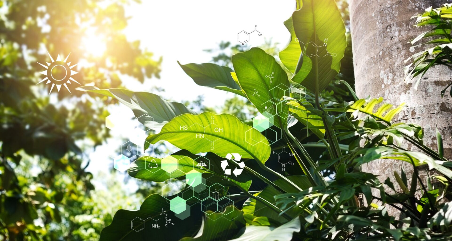 Biology laboratory nature and science, DNA. Plants with biochemistry structure on summer jungle background.