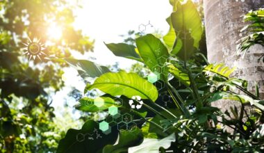 Biology laboratory nature and science, DNA. Plants with biochemistry structure on summer jungle background.
