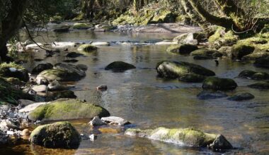 "Putting the local environment at risk and impacting on the local community."