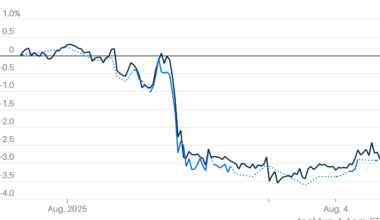 Oil Prices Rise, Shrugging Off OPEC+ Output Hike