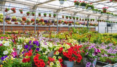 Can My Flower Farm Survive Without Immigrant Labor?