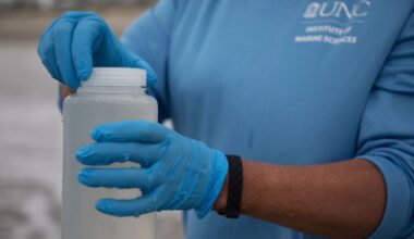 Flesh-eating bacteria cases are rising. Climate change is to blame, say scientists