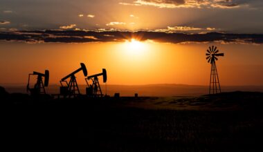 Black Stone Minerals: Deferred Natural Gas Development Expectations (NYSE:BSM)