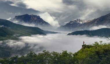 Iran’s Nature is under Threat – here’s how better environmental Stewardship can save it