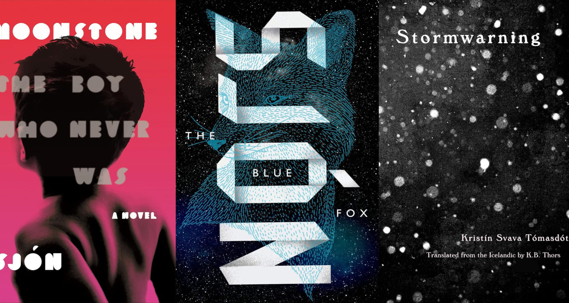 From Iceland — An Assortment Of Good Reads
