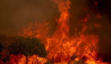emisiones de monóxido de carbono nunca vistas en más de 20 años