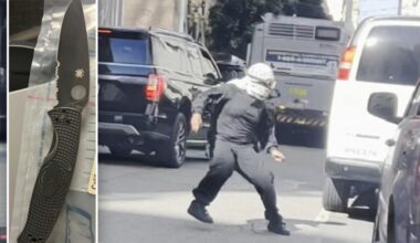 SF Mob Assaults ICE
