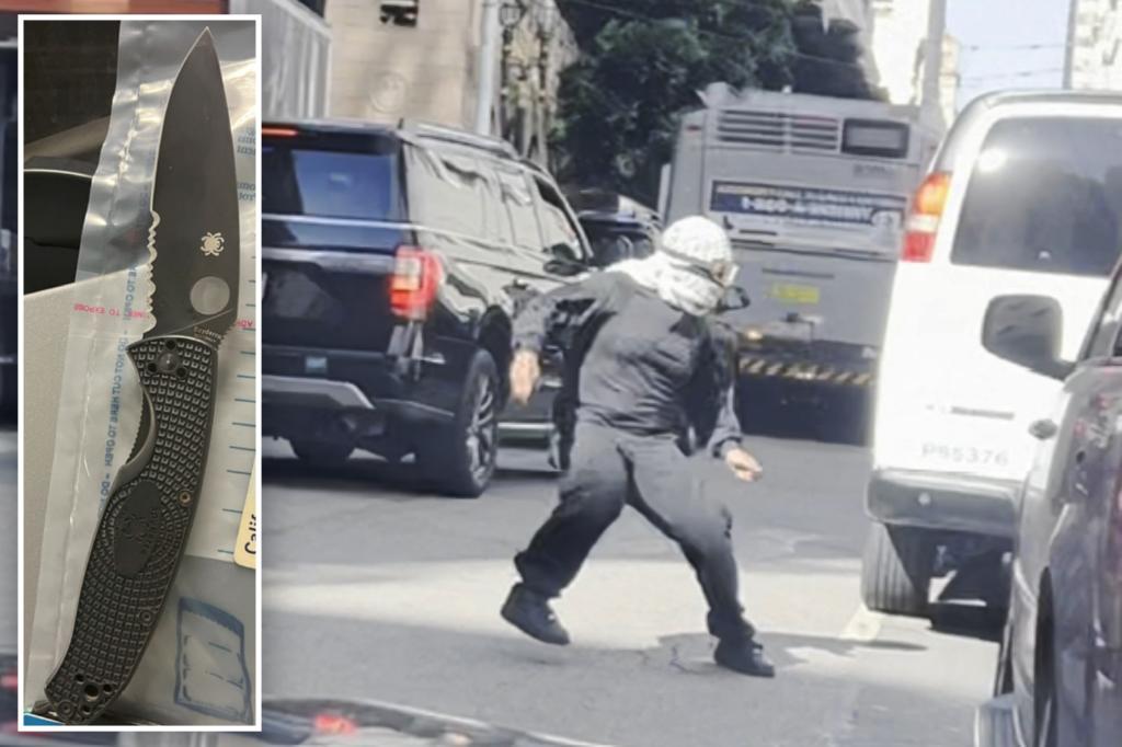 SF Mob Assaults ICE