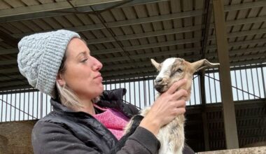 Claire (L'amour est dans le pré) révèle qu'elle a été victime d'un accident qui a gravement endommagé son véhicule