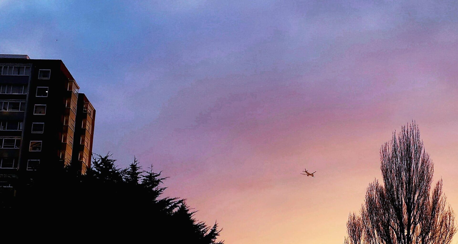 Who said London is just grey?