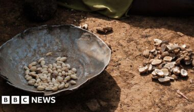 Sudan war: Medics say more than dozen children in Darfur camp have died because of food shortages