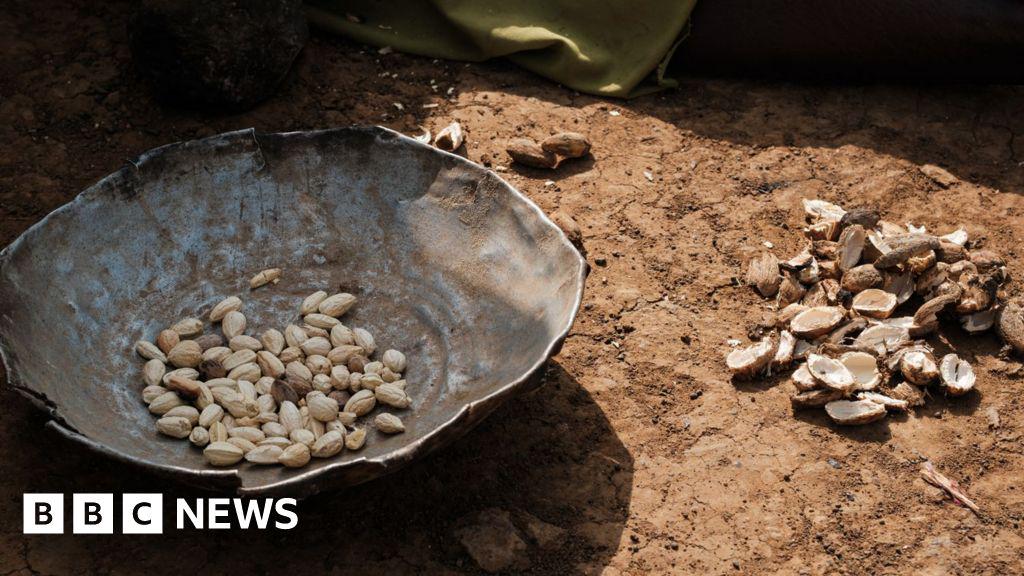 Sudan war: Medics say more than dozen children in Darfur camp have died because of food shortages