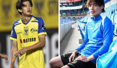 Sinds 2018 strijken er veel Japanse spelers neer in België