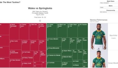 Feedback on Data Visualization Portfolio
