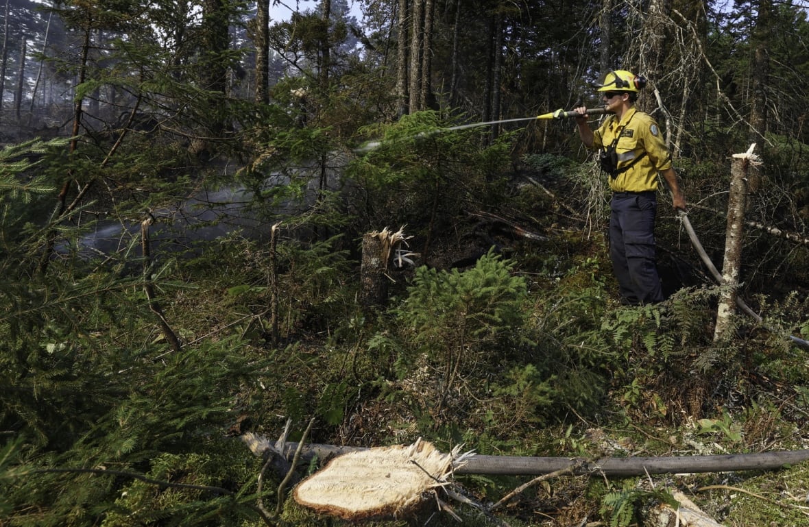 Joseph Daigle, a firefighter with the Department of Natural Resources, sprays down an area near the Long Lake wildfire.