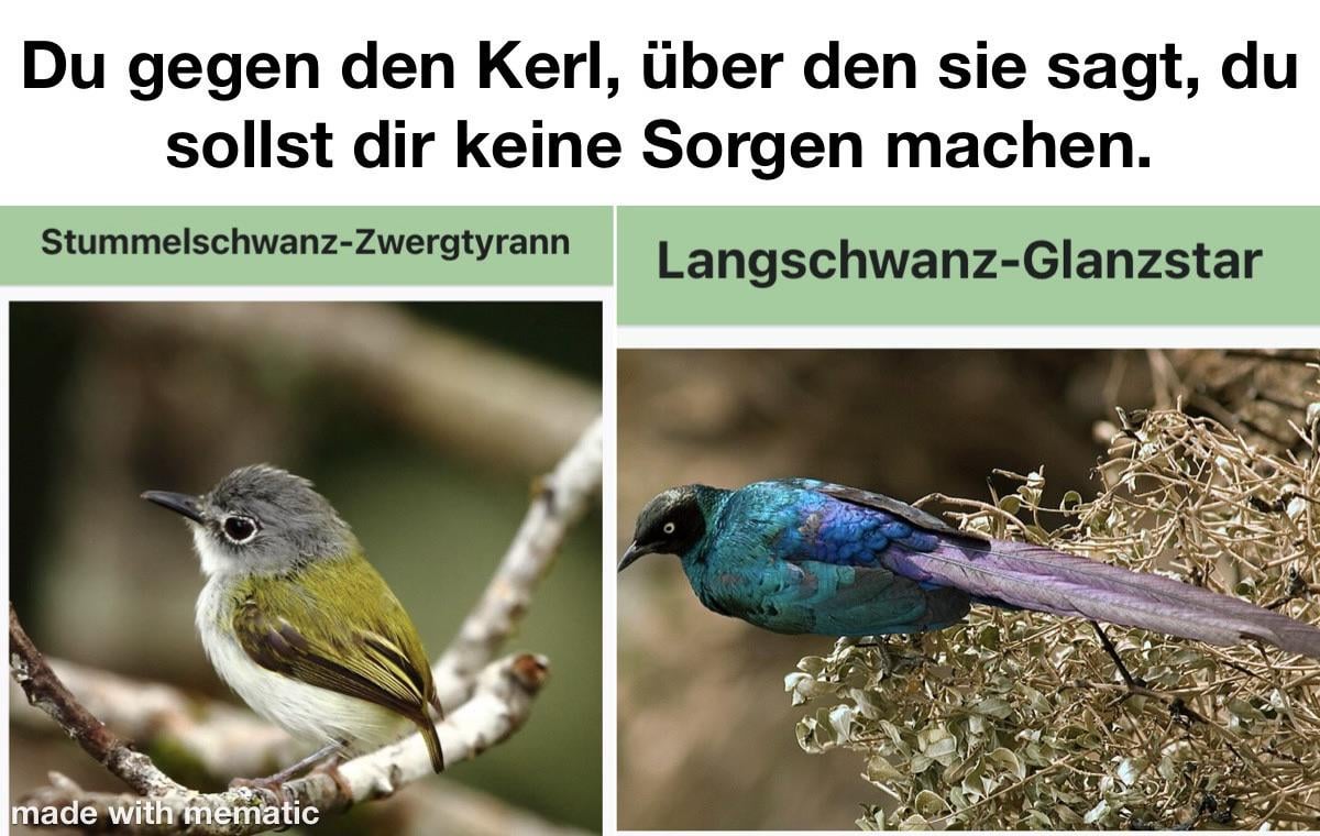 Ich🐤🍆🦜iel
