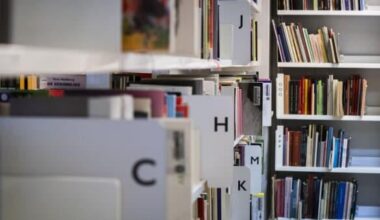 Hen og de er blevet del del af ordbogen