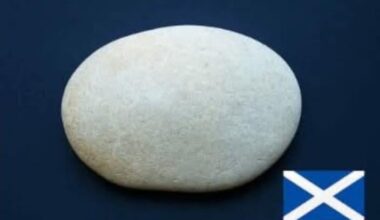 Wee joke to celebrate the fact it’s Friday