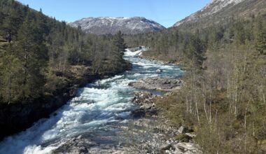 My favorite photos from my trip to Norway in May.