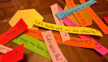 Rise in Irish A-level entries bucks trend with German, French, and Spanish in decline