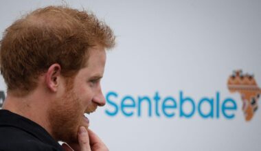 Sentebale war of words continues as charity calls for clarity on commission's probe into Prince Harry claims