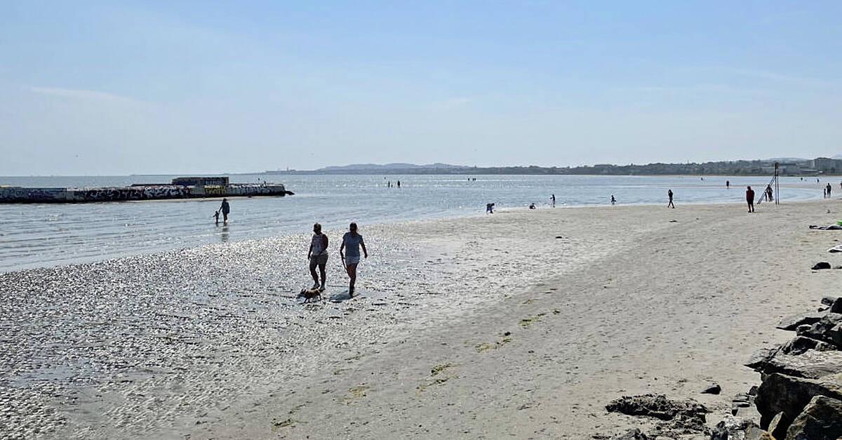 'Tremendous improvement': Irish beaches are at their cleanest in eight years | BreakingNews.ie