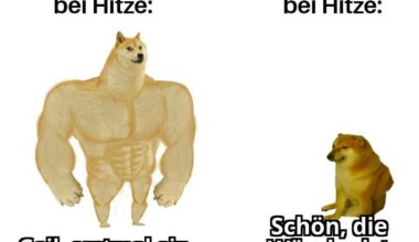 Ich_iel