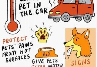 Megathread: The Sun Is Back