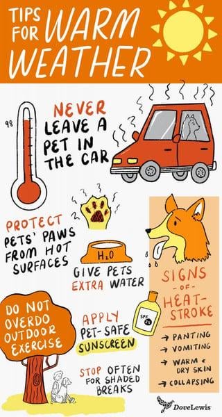 Megathread: The Sun Is Back