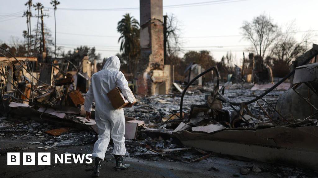 More than 400 indirect deaths linked to LA wildfires, study says