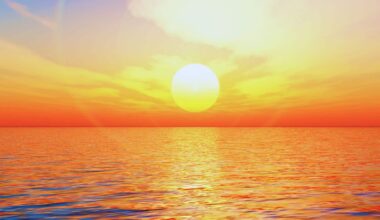 Earth’s Oceans Are Overheating – And the Consequences Could Be Catastrophic, Scientists Warn