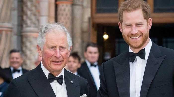 King Charles, Prince Harry find rare common ground