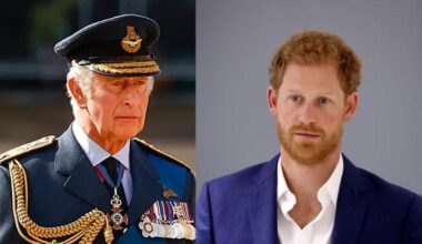 Prince Harry's shot at reconciliation gets shocking verdict by a man who saw early years
