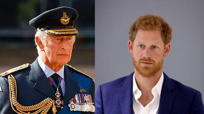 Prince Harry's shot at reconciliation gets shocking verdict by a man who saw early years