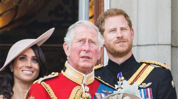 'Red Line' in King Charles, Prince Harry's reconciliation exposed
