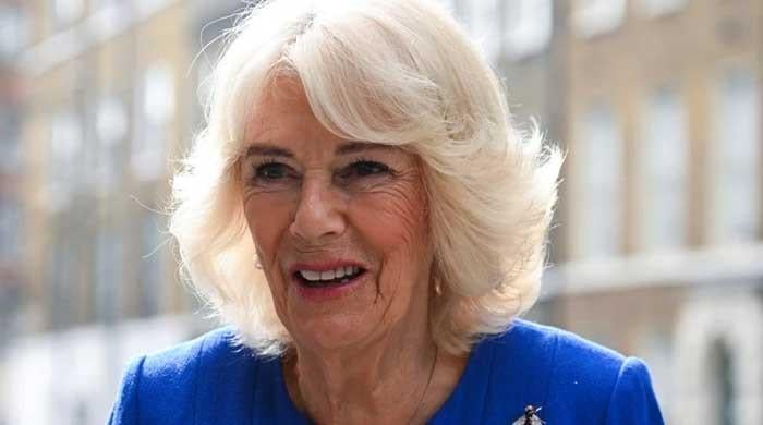 Queen Camilla lauded for commitment to 'real and lasting change'