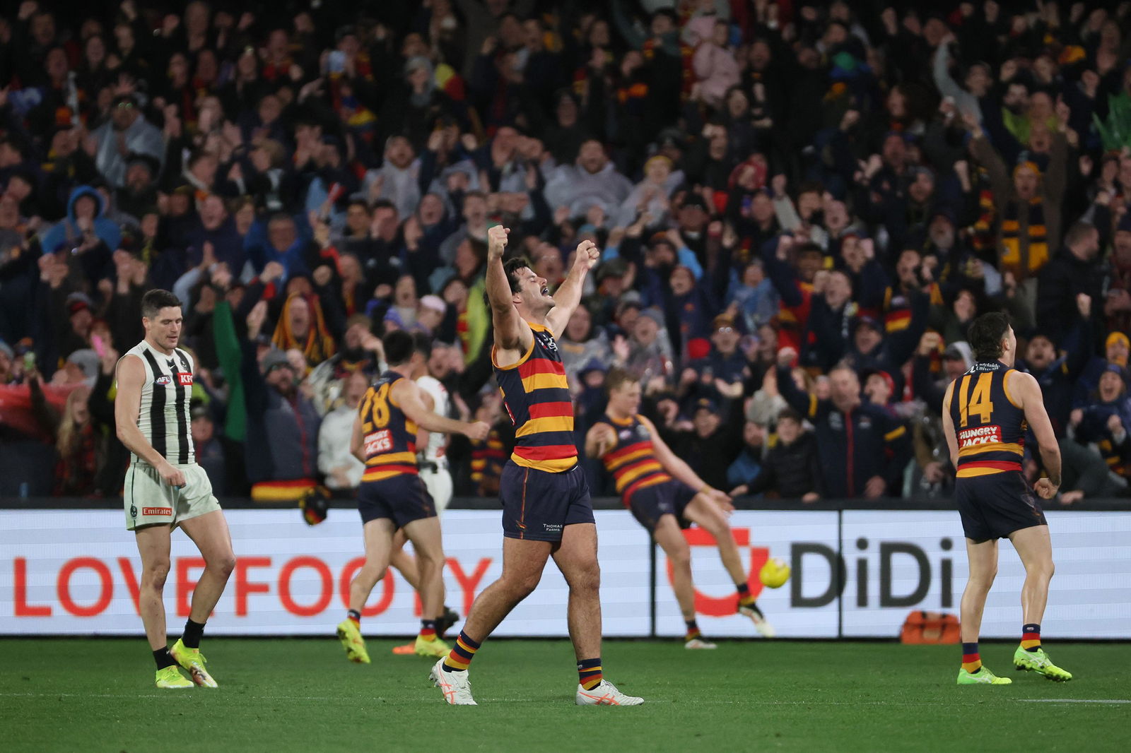 Crows celebrate